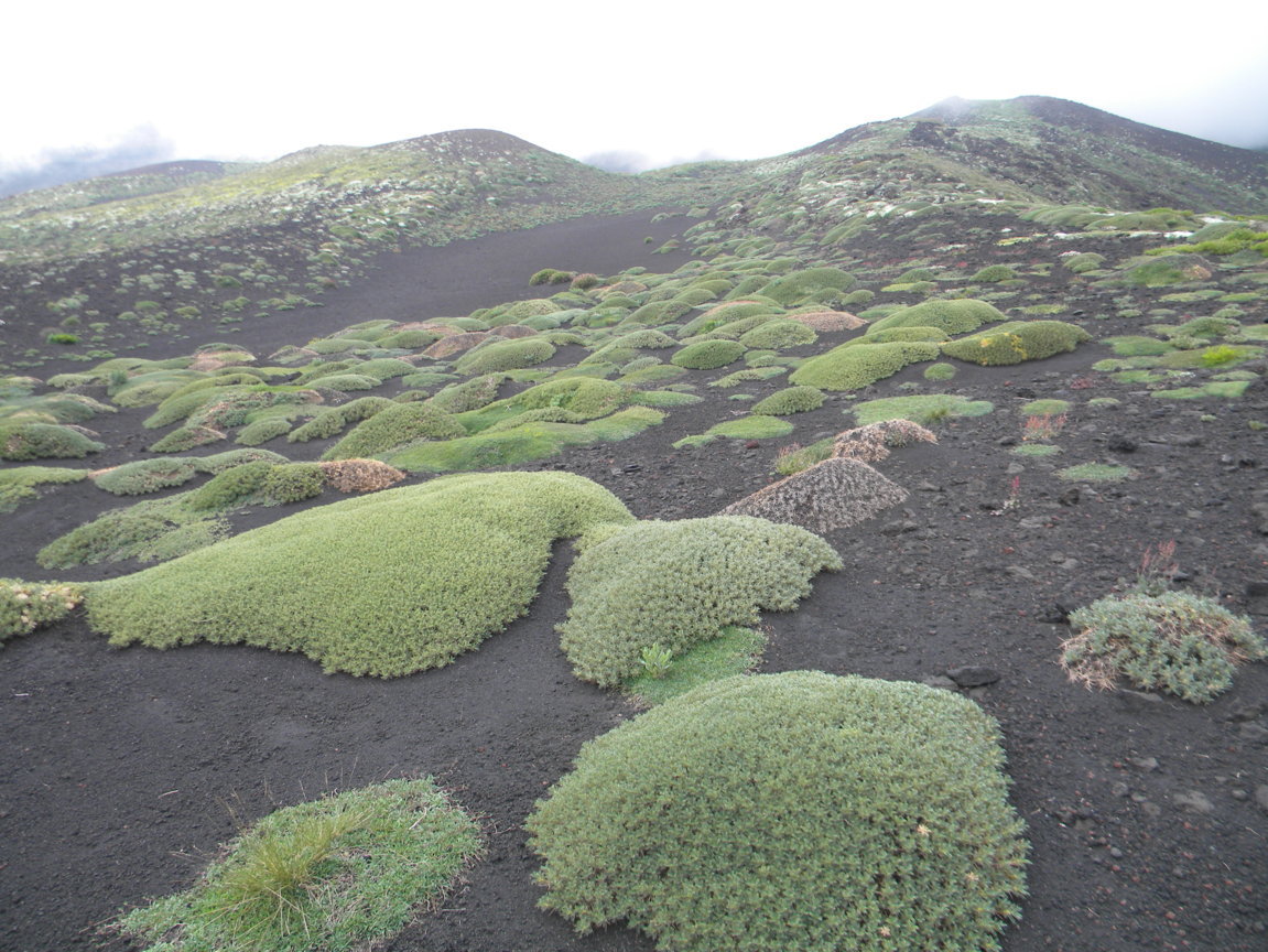 DSCN9515 .JPG